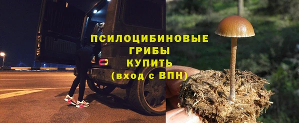 прущая мука Белокуриха